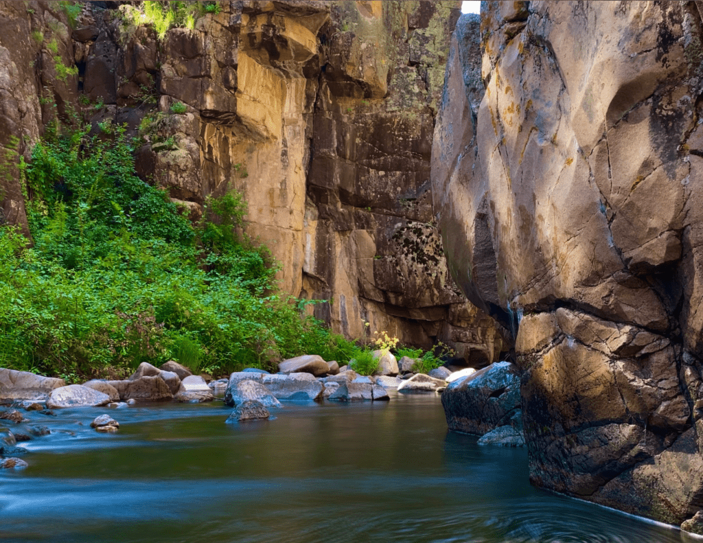  New Mexico Wild Celebrates Reintroduction of Legislation to Protect the Gila, San Francisco rivers as Wild and Scenic