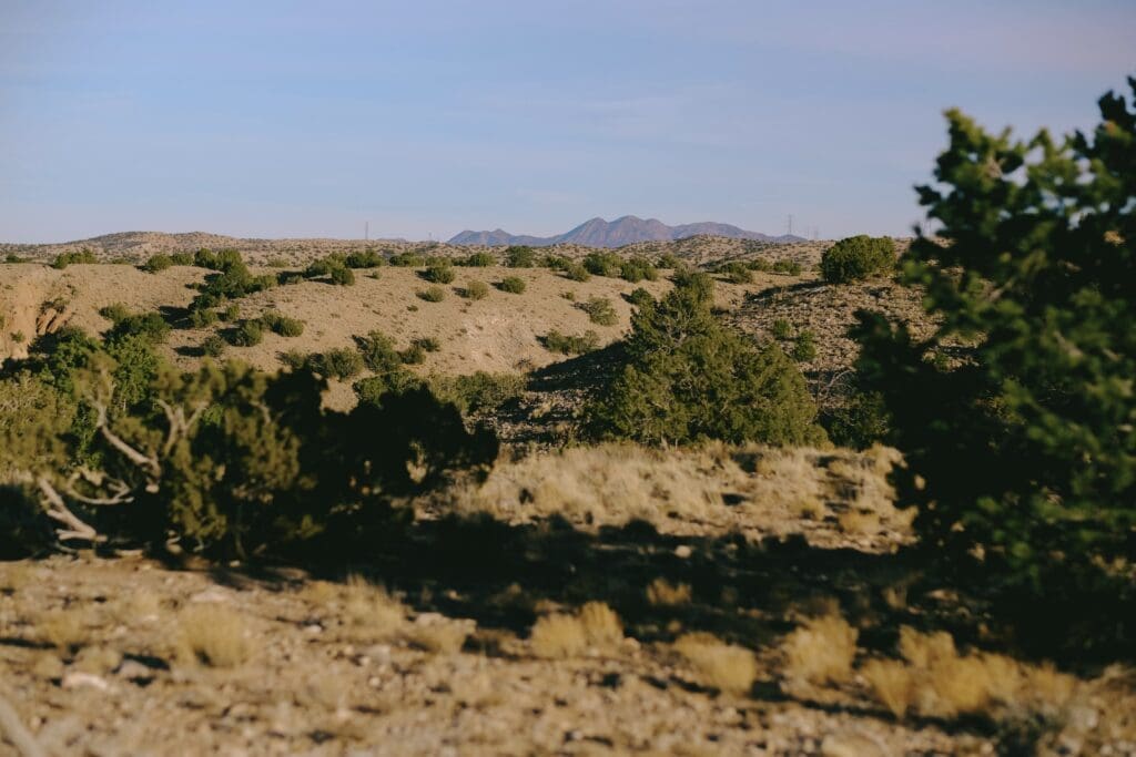 Proposed 50-year Administrative Mineral Withdrawal Announced for Buffalo Tract