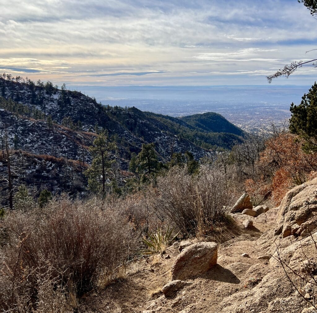A Perfect Day on the Pino Trail