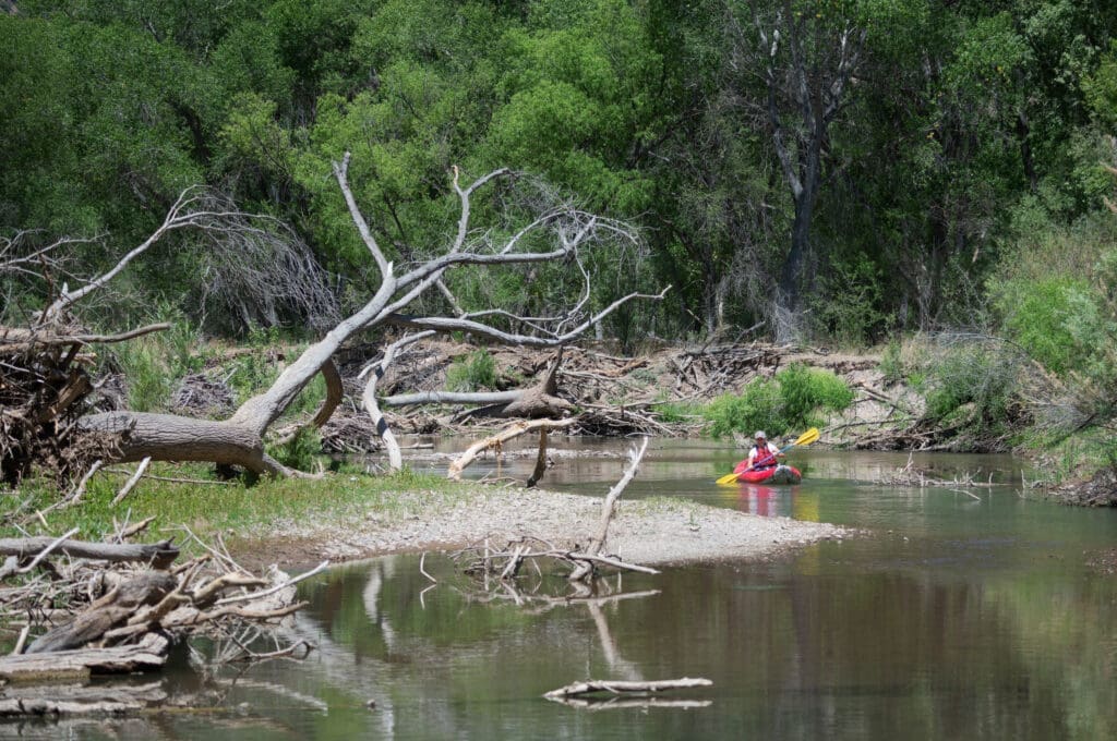 Press Release: Diverse Stakeholders Applaud New Mexico Delegation for Reintroducing Legislation to Permanently Protect Gila-Area Rivers and Streams