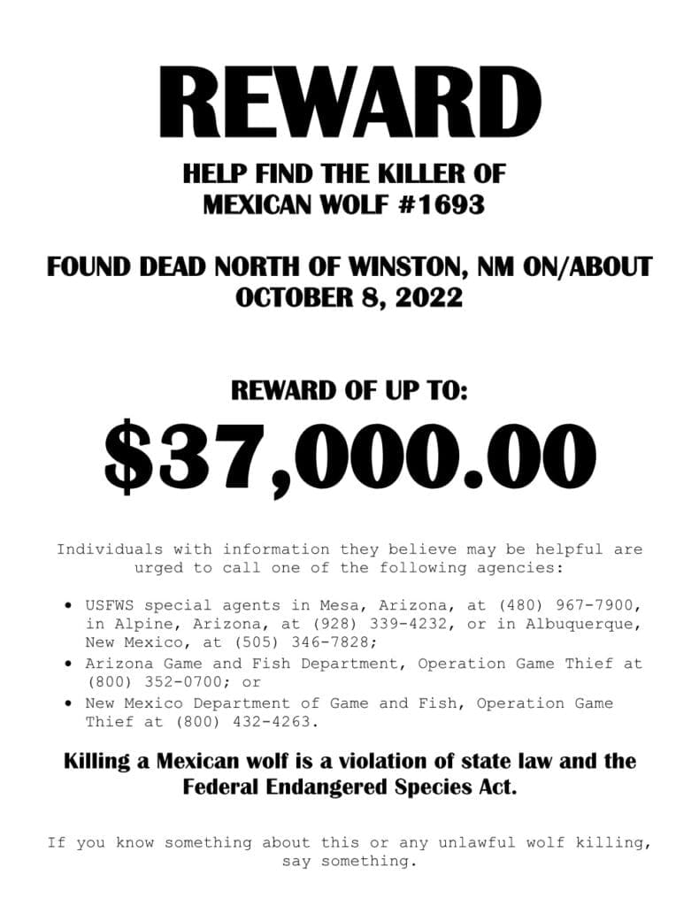 Reward Offered For Information Leading to Conviction of Killer in Mexican Gray Wolf Death