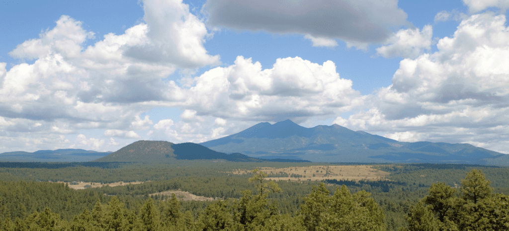 Mexican Gray Wolves Near Flagstaff: A Missed Opportunity for Natural Recovery