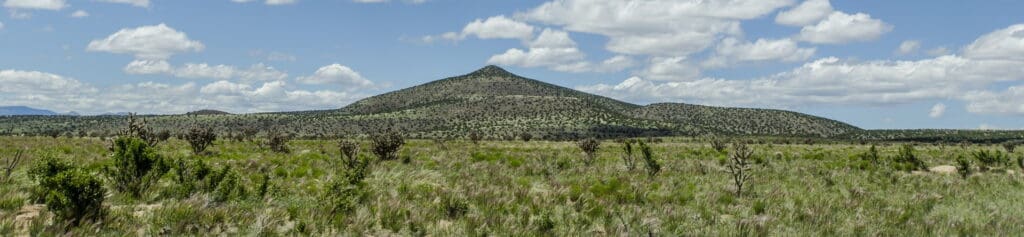 New Mexico Wild Stands with Coalition Against Caja del Rio Transmission Line