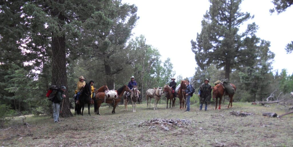 Saddle Up for Wilderness