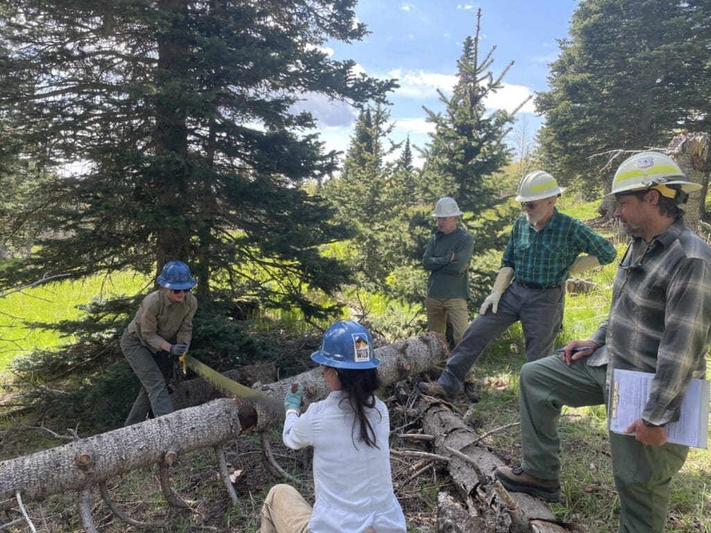 Tools of Wilderness: The Art and Necessity of Crosscut Saws