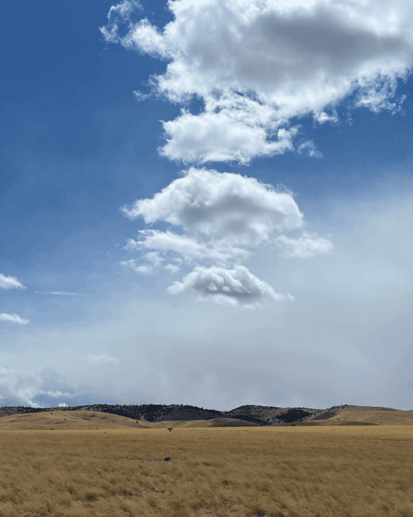 (Full) Continental Divide Wilderness Study Area Outing
