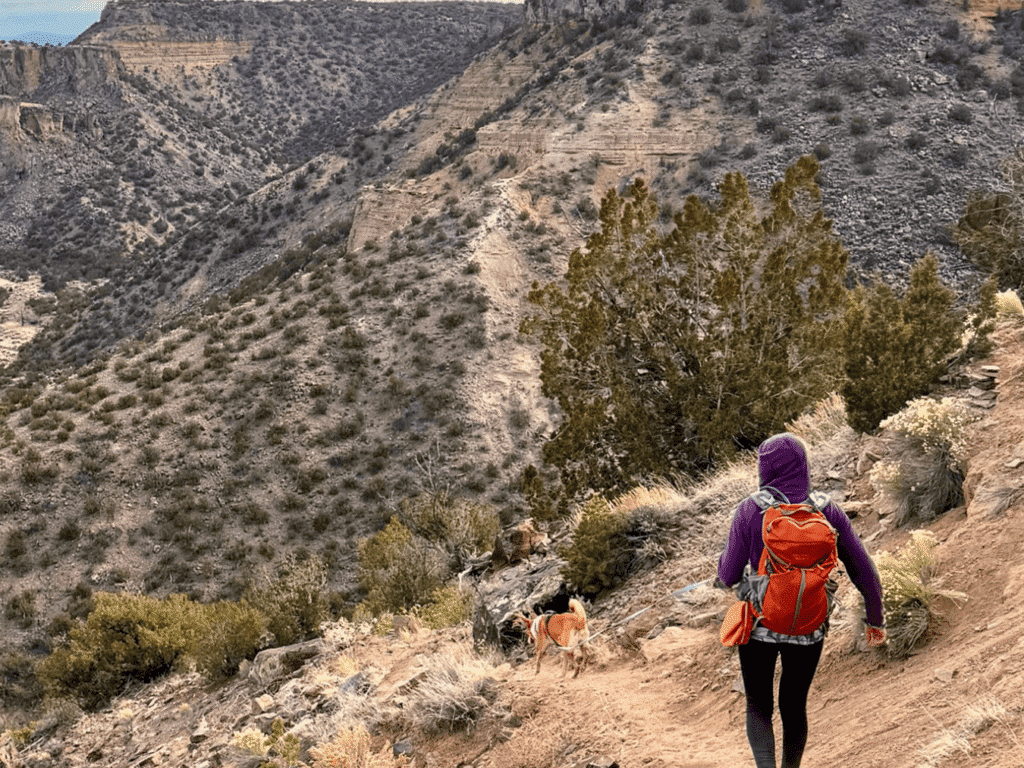 Coalition and Local Governments Call for Federal Protection of Caja del Rio