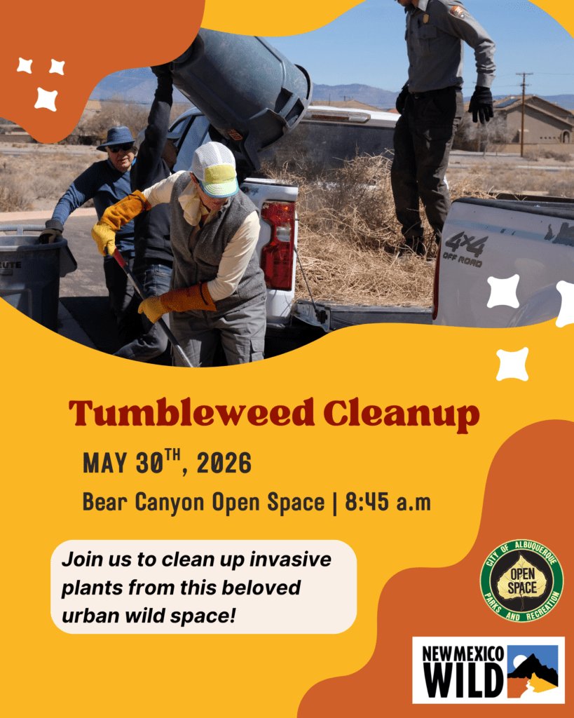 Bear Canyon Open Space Tumbleweed Cleanup – Part 2!