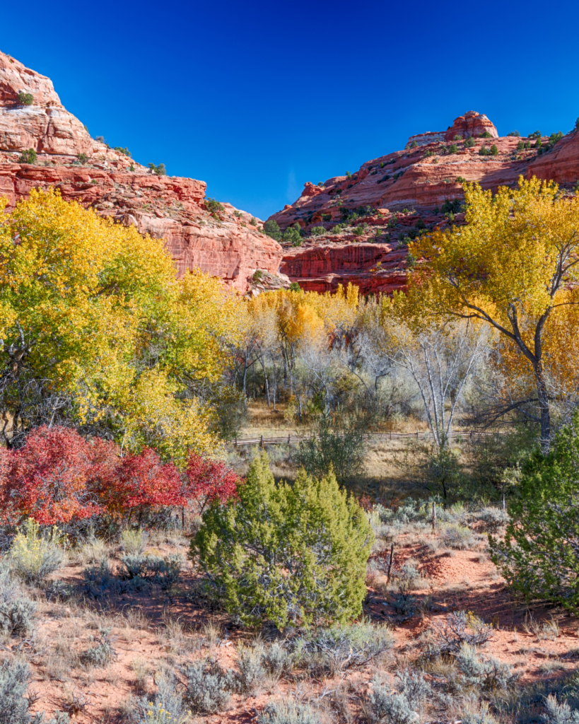 PRESS RELEASE: New Mexico Organizations Stand With Congressional Delegation and Tribal Nations to Restore Bears Ears & Grand Staircase-Escalante